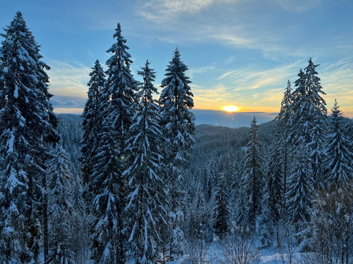 Kamena Хотел Пампорово